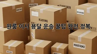 원룸 이사, 용달 운송 꿀팁 완전 정복!