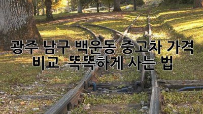 광주 남구 백운동 중고차 가격 비교! 🚗💨 똑똑하게 사는 법