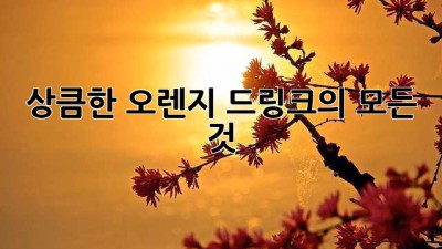상큼한 오렌지 드링크의 모든 것